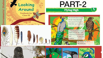 Flying High | NCERT Class 3 EVS chapter-8 Part-2 explanation in hindi and English with pictures