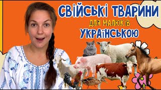 Вчимо свійських тварин з Пані Юлею українською. Розважально-навчальне відео про тварин для малюків.