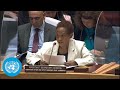 Syria: UN Security Council on the situation in the Middle East | United Nations | Full