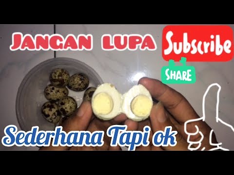 Cara sederhana membuat telur asin dari telur puyuh