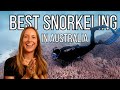 Snorkeling  freediving bucket list australia