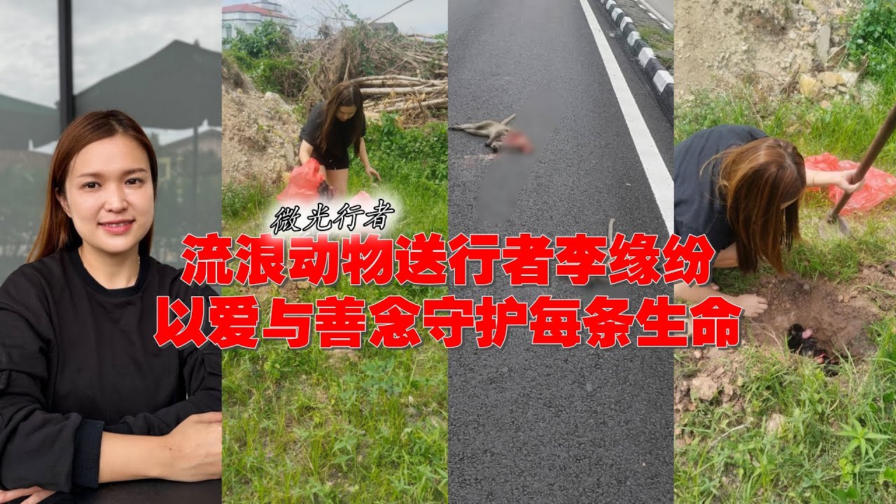 【微光行者（第二篇）】流浪动物送行者李缘纷　以爱与善念守护每条生命