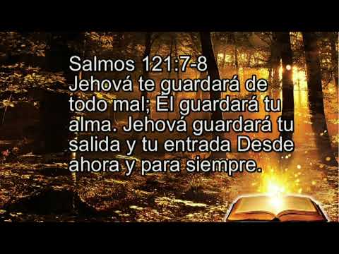 Salmos 121:7-8,Jehová te