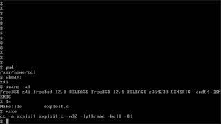 Demonstrating CVE-2020-7460: A FreeBSD Kernel Privilege Escalation