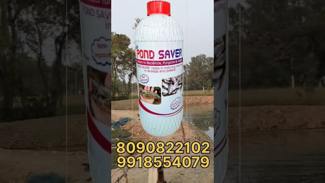 Fish Medicine In Dumariyaganj 