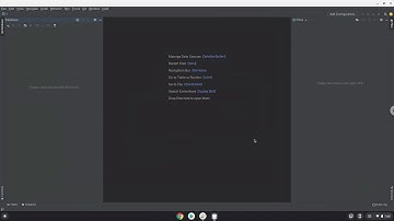 How to install Jetbrains DataGrip 2021 on a Chromebook