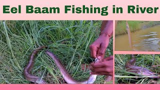 Indian Eel Fishing in River | Baam fishing.