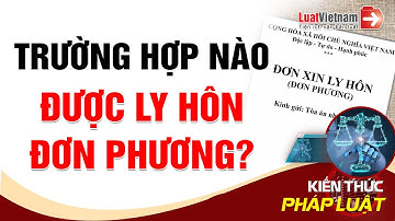 Trường Hợp Nào Được Ly Hôn Đơn Phương? | LuatVietnam