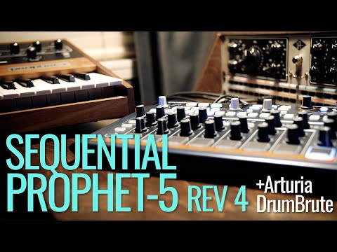 Sequential Prophet-5 Rev 4 + DrumBrute Sketch