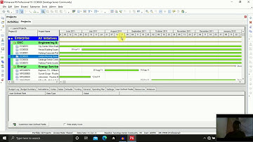 Primavera P6 User Interface Part 1