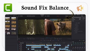 Audio bewerken in Camtasia (geluidsniveaus)