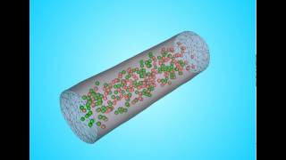 Osmotic Pumping Simulation by SELM