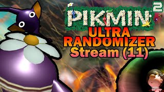 Streaming Pikmin², Play Testing Ultra Randomizer!! (11) (HARD MODE) (No public download)