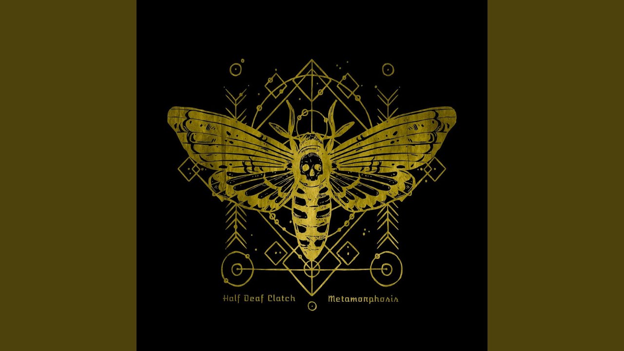 Watch The Transmutation on YouTube Watch The Transmutation on YouTube