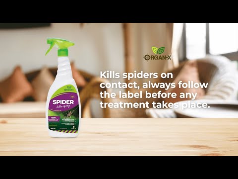 How to Get Rid of spiders in 60 seconds