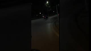 IMG 8300