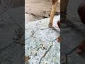 4x2 “ Flooring |Tiles Designers|