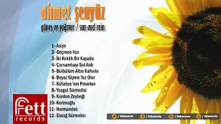 Ahmet Şenyüz - Harmandalı Resimi