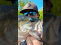 I Caught A GIANT Bass Here…