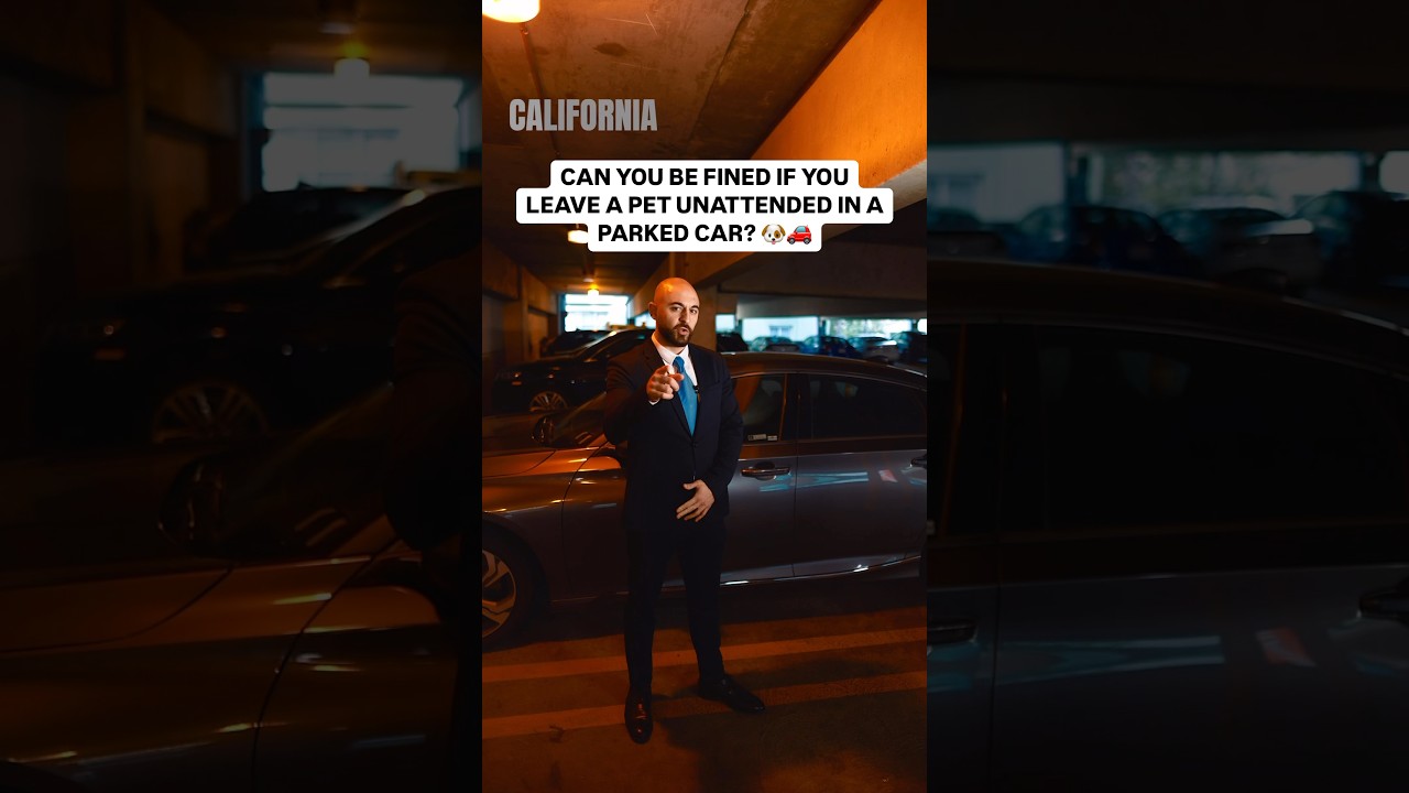 Can you be fined if you leave a pet unattended in a parked car?