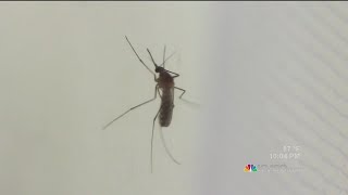 Mosquito Spraying in McAllen Underway