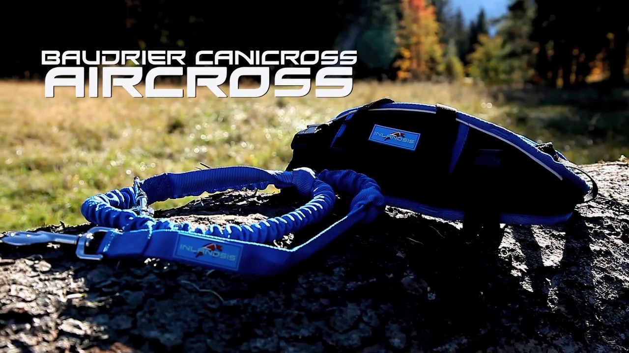 Inlandsis Aircross - Canicross & skijoring belt 