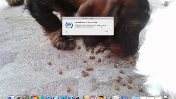 Mac updaten