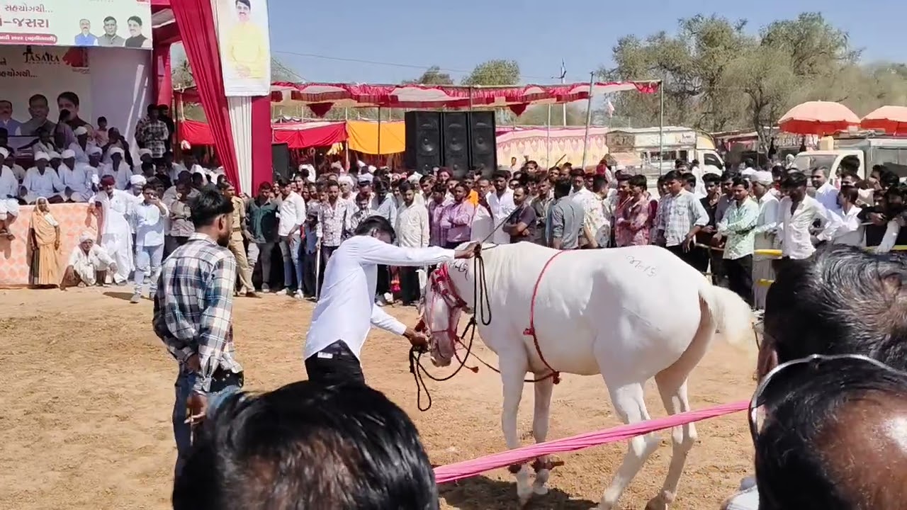 15 ફેબ્રુઆરી, 2026