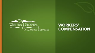 Boost Workplace Safety with WGIS Training Programs