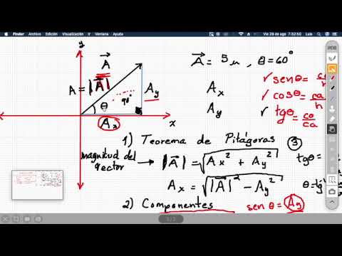 Video: ¿Qué es un vector en trigonometría?