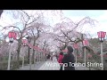 Guidoor 三島市 ・観光PR動画　Mishima City IZU tourism promotion