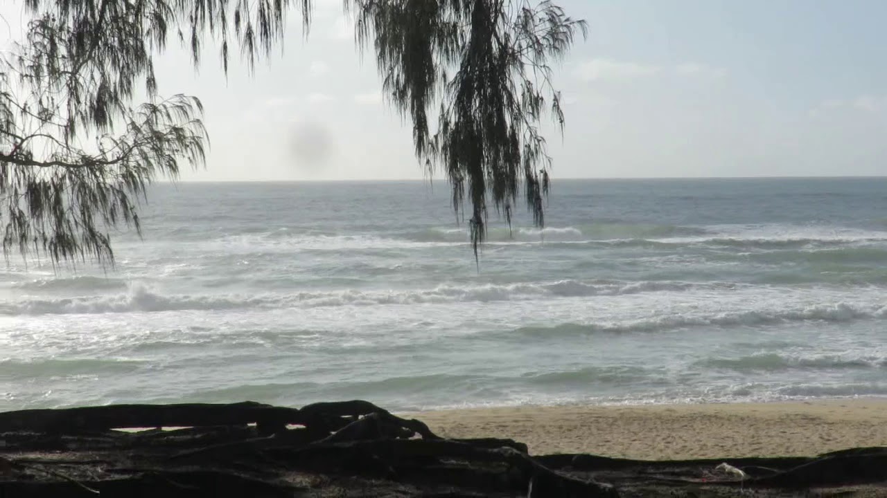Praia do Moçambique 8 Fevereiro 2020 – Boletim das Ondas In Paradise