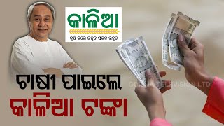 Odisha Govt Disburses KALIA Money To Farmers screenshot 4