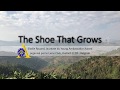 The shoe that grows young award ambassador 2019 lions club district 112d