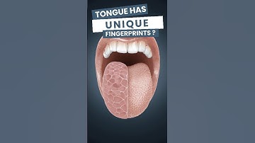 Did you know your tongue has a unique fingerprints? #facts #education #usa #love #factloom