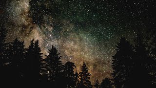 Celestial Serenade: Cricket Sounds Under the Starry Night Sky 10HRS Dark Screen Of Nocturnal Bliss