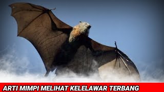 Ini Arti Mimpi Melihat Kelelawar Terbang - Sahabat Channel