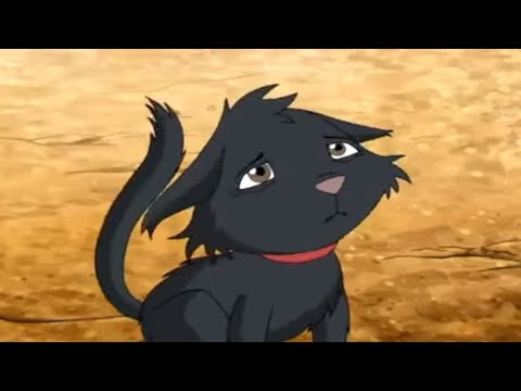 Horseland: Mosey, o gato // Temporada 1, Episódio 20 | WildBrain