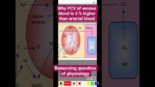 Why PCV or hematocrit of venous blood is 3% higher than arterial blood ? Chloride shift.. Hamburger