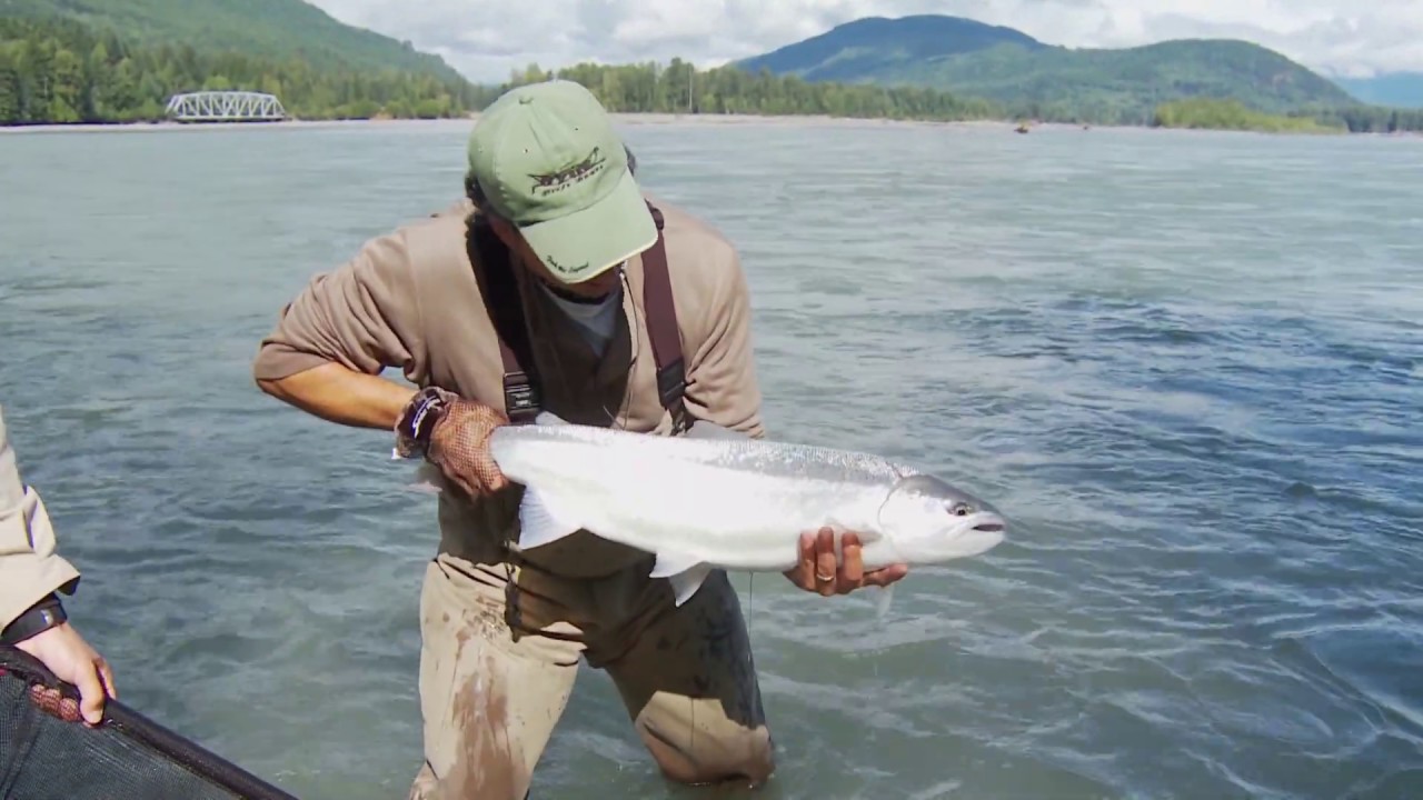 FLY FISHING: How to catch Steelhead and various Pacific Salmon species