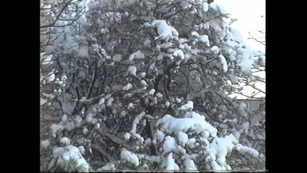 Goslar im Wandel der Zeiten und Jahreszeiten