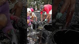 Oil spill#fact #history #thisdayinhistory #whathappenedonthisday #oilspill #shorts