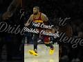 Full Court Dribble Challenge! #basketball #challenge #viral #fyp