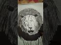 Lion  pen drawing drawing shorts artist professor viral