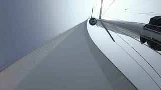 Apparent wind or true wind?