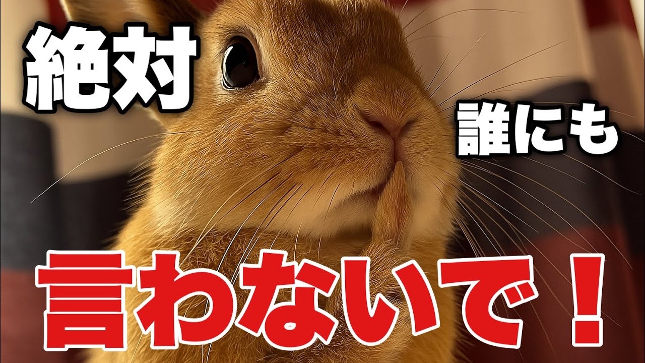 暴露】「実はお母さんね…」嫁ちゃんの秘密、社長がバラしました