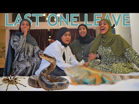 MASAS IYO BAHALO CABSI BADAN AYAAN SARIIRTA USAARAY KALA OROD AYAA KA DHACAY