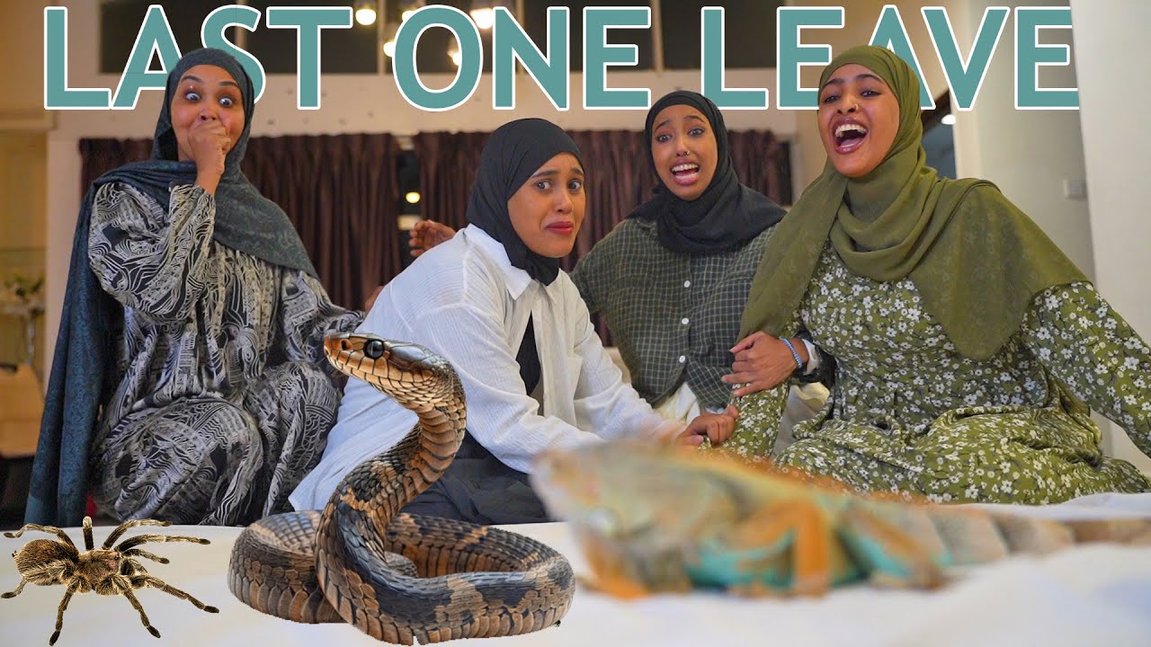 MASAS IYO BAHALO CABSI BADAN AYAAN SARIIRTA USAARAY KALA OROD AYAA KA DHACAY