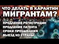 КАК ДЕЙСТВОВАТЬ МИГРАНТАМ В ПЕРИОД КАРАНТИНА? ПРОДЛЕНИЕ РЕГИСТРАЦИИ, ПАТЕНТА, ВНЖ