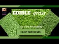 Edible Grass for Cake Craft...3 different techniques!